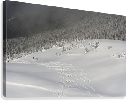 Skiers At The Base Of A Mountain; Whistler - Powderaddicts